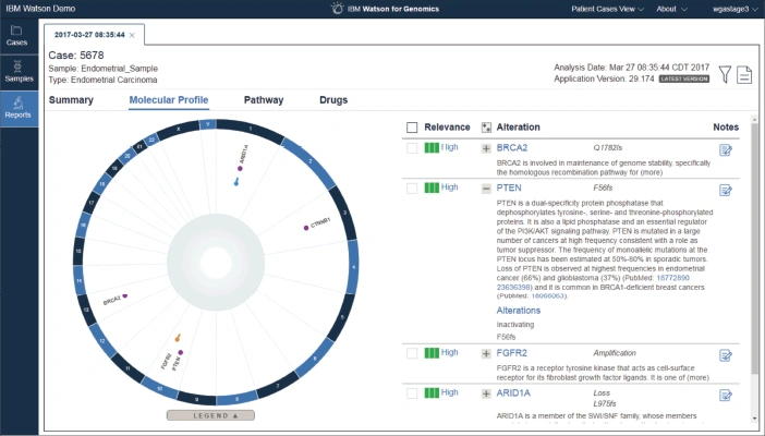 IBM Watson for Oncology screenshot